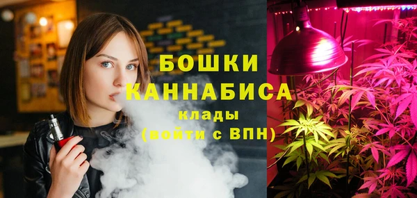 сатива Протвино