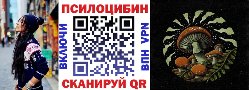 даркнет формула  Гусиноозёрск  Псилоцибиновые грибы прущие грибы  что такое   блэк спрут сайт 