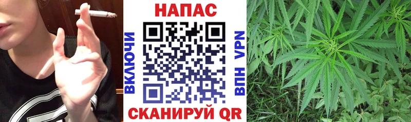 Конопля MAZAR  Гусиноозёрск 